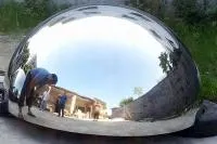 Полусфера ø 1500 нержавеющая сталь (207298) сертификат промоборудование мм.  в Санкт-Петербурге