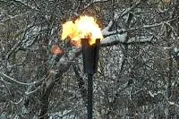 Факел садовый январь 2012 (197221) производство ø 65 мм. ветроустойчивая  в Санкт-Петербурге