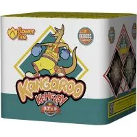 Батарея салютов Кенгуру ОС6035 купить от производителя Огненный Цветок — Санкт-Петербург