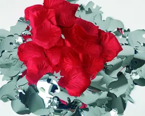 Пневматическая хлопушка Свадебная 37 Р9037 продажа от производителя Русский Фейерверк — Санкт-Петербург